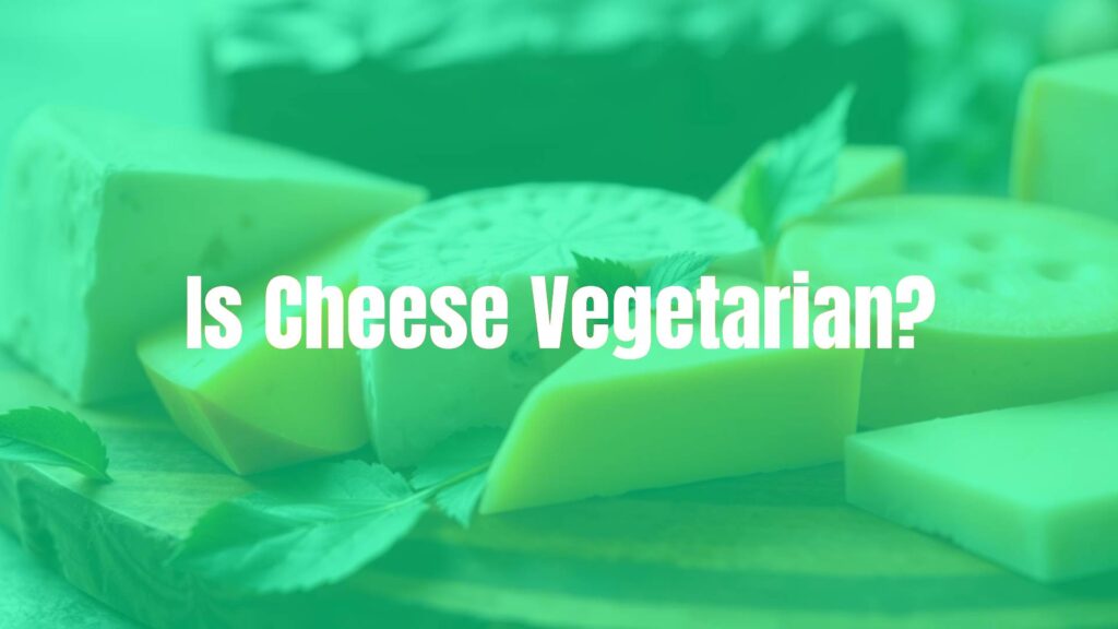 Is Cheese Vegetarian?