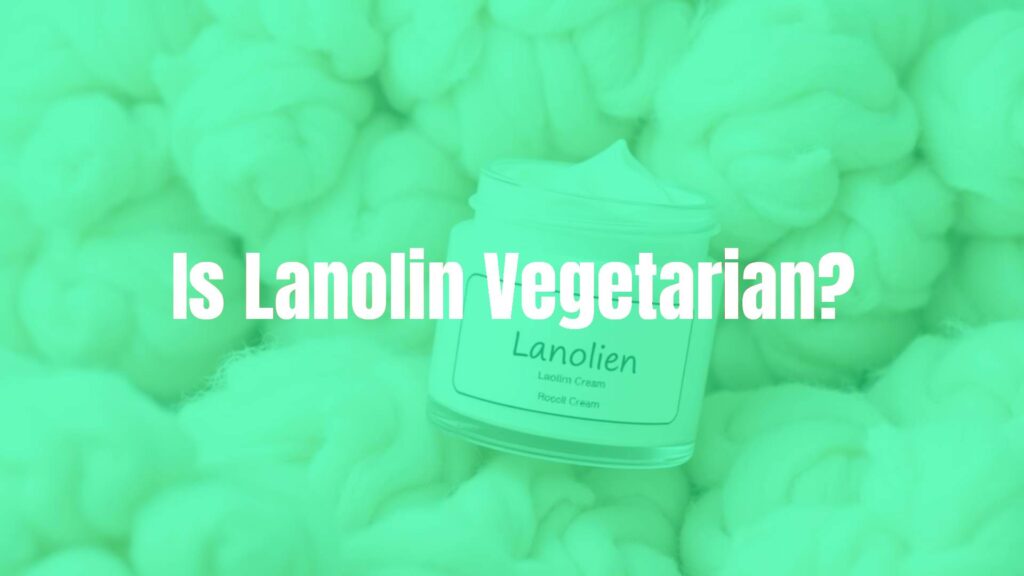 Is Lanolin Vegetarian?