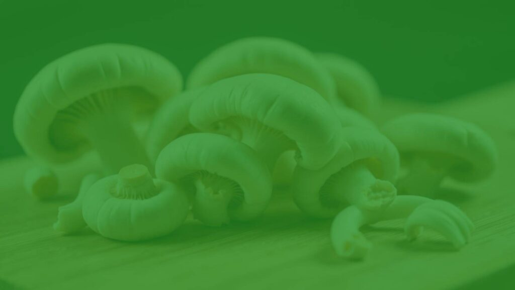 A cluster of fresh Shimeji mushrooms, close-up, on a wooden cutting board, with soft natural lighting, realistic.