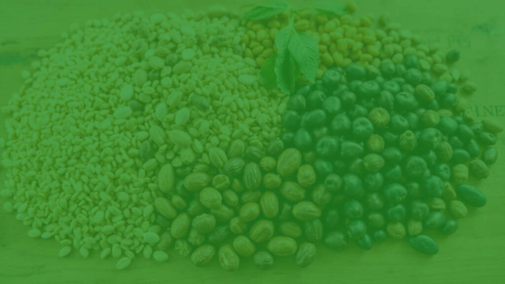 A vibrant assortment of vegetarian vitamin B1 sources including whole grains, legumes, nuts, and seeds, arranged neatly on a wooden table, natural lighting, realistic.