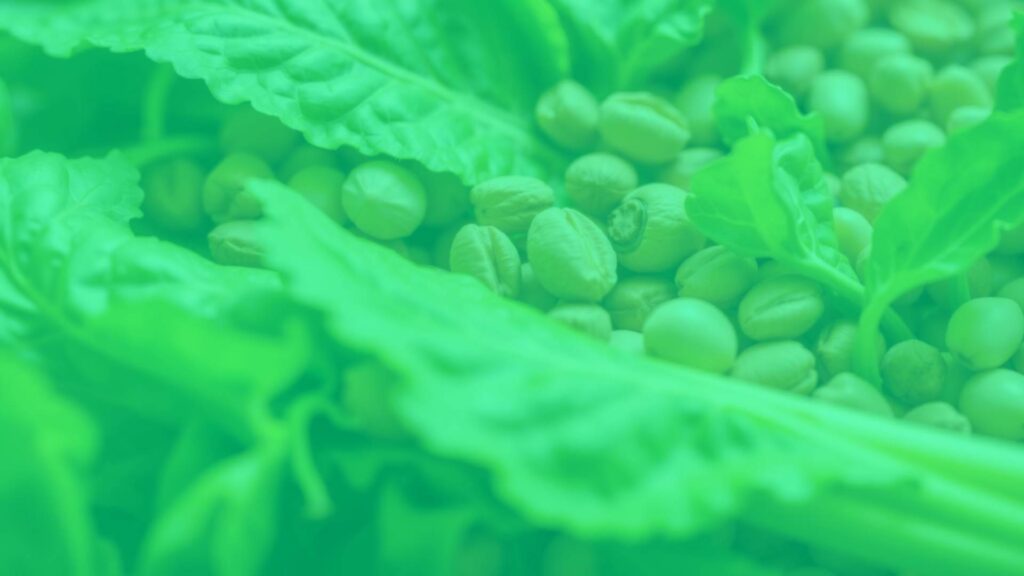 A close-up of fresh green leafy vegetables with nickel-rich foods like nuts and legumes, soft natural lighting, health-focused, realistic.
